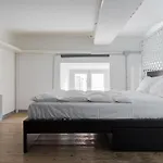 Trevi Fountain Modern Loft Apartment